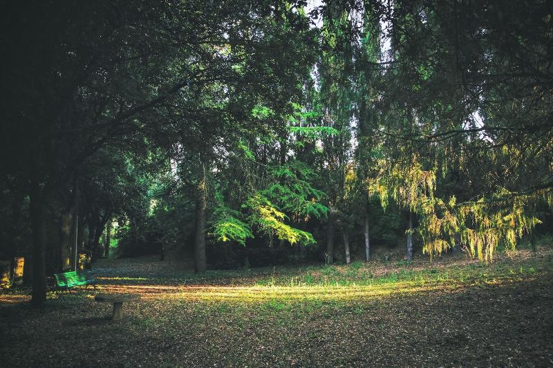 Villa Vianci