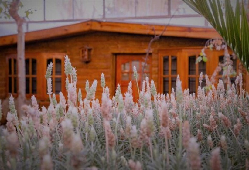 Don Pepe Hotel Y Cabañas