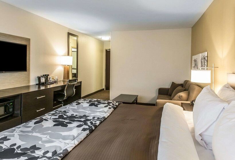 בית מלון כפרי Sleep Inn & Suites Jasper I22