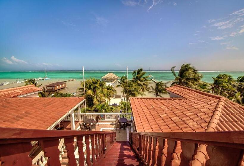 فندق Blue Tang Inn
