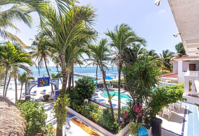 فندق Blue Tang Inn