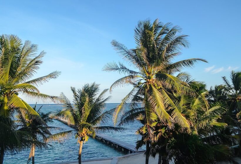 فندق Blue Tang Inn