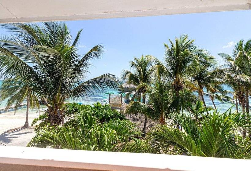 فندق Blue Tang Inn