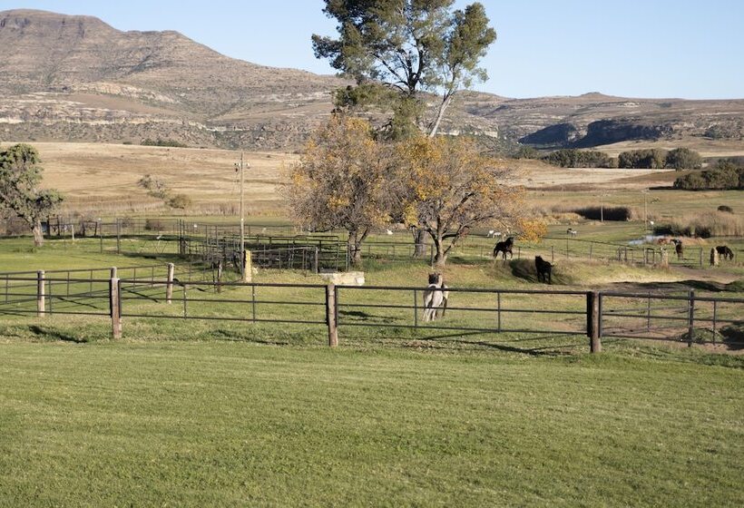 בית מלון כפרי Moolmanshoek Private Game Reserve