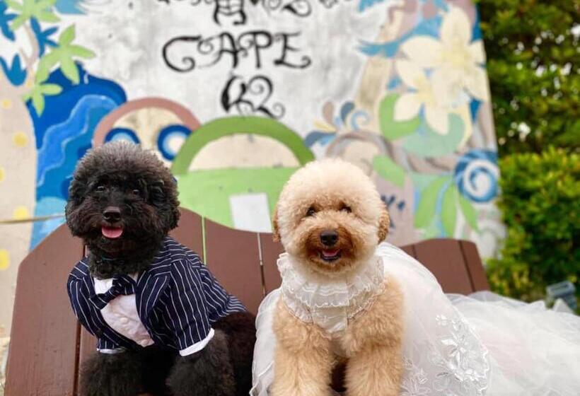 پانسیون Cape 42 Hotel Ill