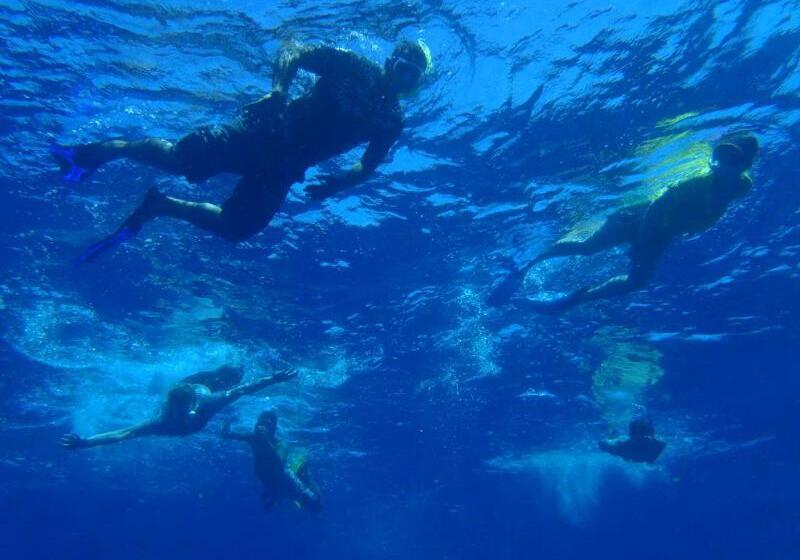 هاستل Maravu Taveuni Lodge