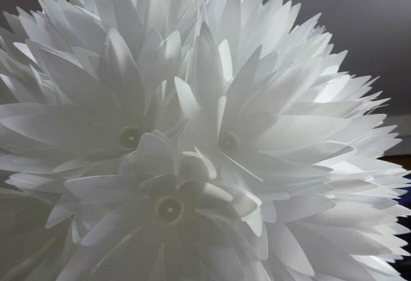 مبيت وإفطار The Retreat At Froog Moore Park