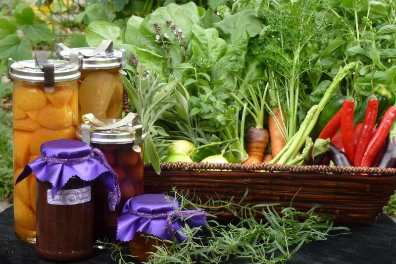 مبيت وإفطار The Retreat At Froog Moore Park