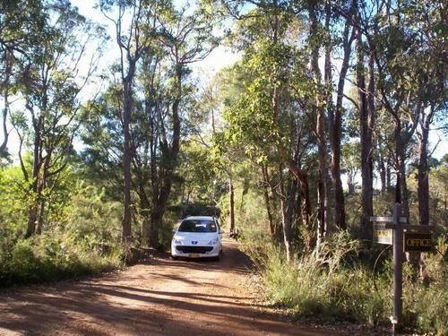 فندق Denmark Forest Retreat