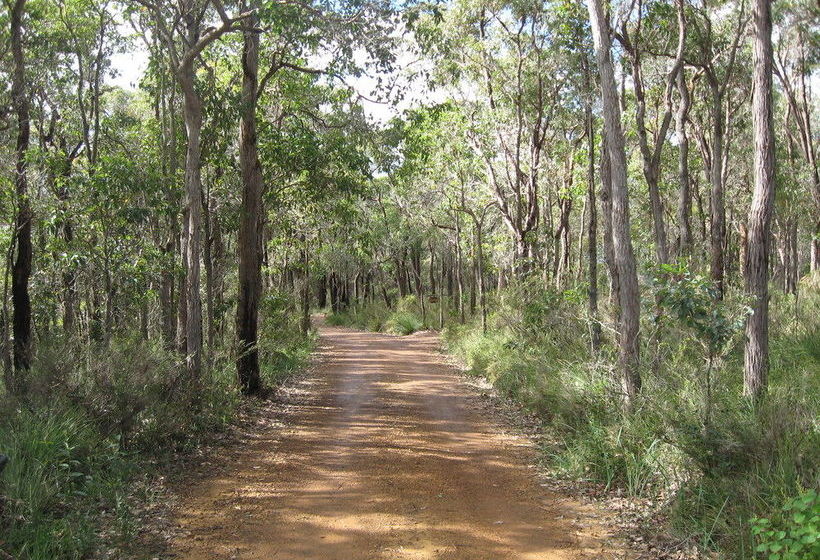 فندق Denmark Forest Retreat