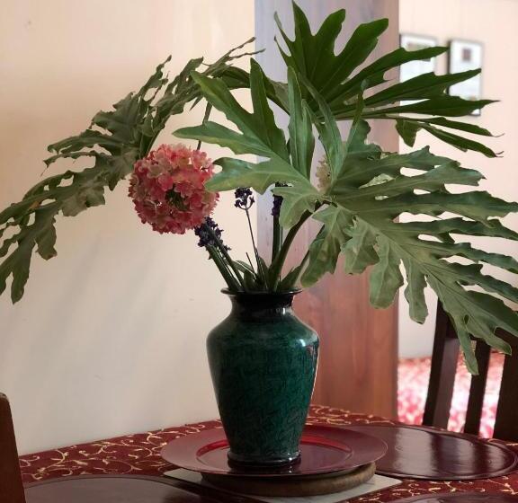 بنسيون Albany Foreshore Guest House