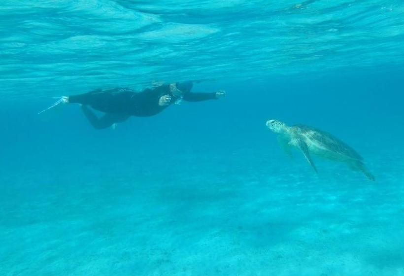 ペンション Guesthouse Iyonchi