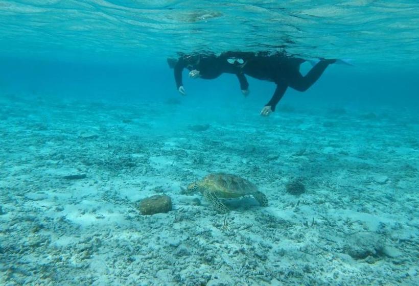 ペンション Guesthouse Iyonchi