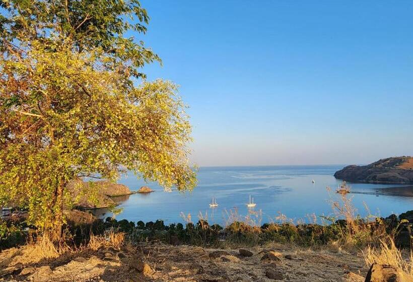 Sylvia Hotel & Resort Komodo