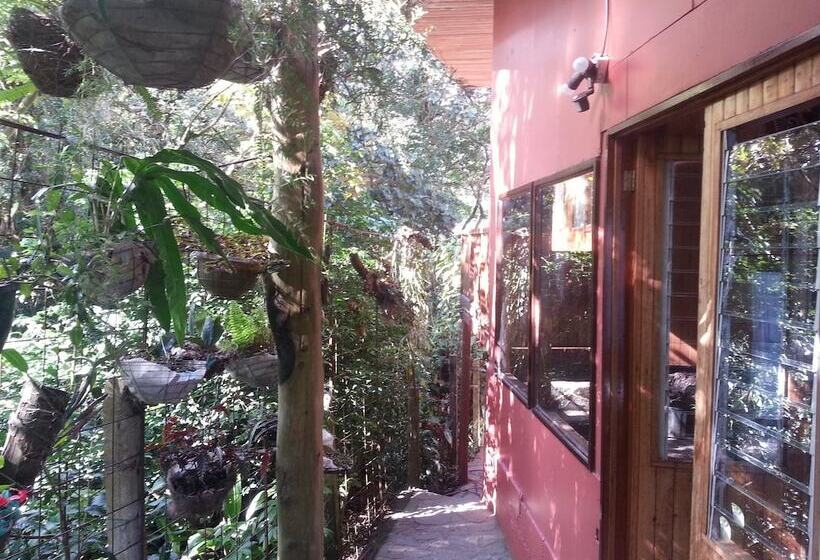 هتل Forest Dreams Manakin