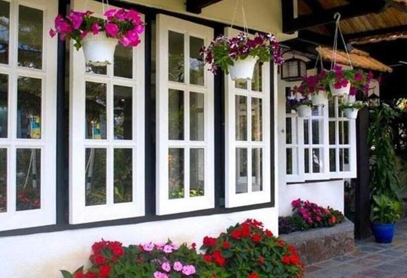 فندق Hillview Inn