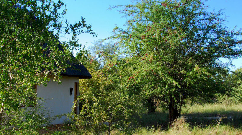 Hotel Mbizi Bush Lodge