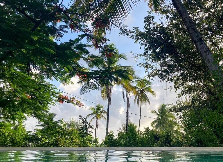 פנסיון Bellevue Zanzibar