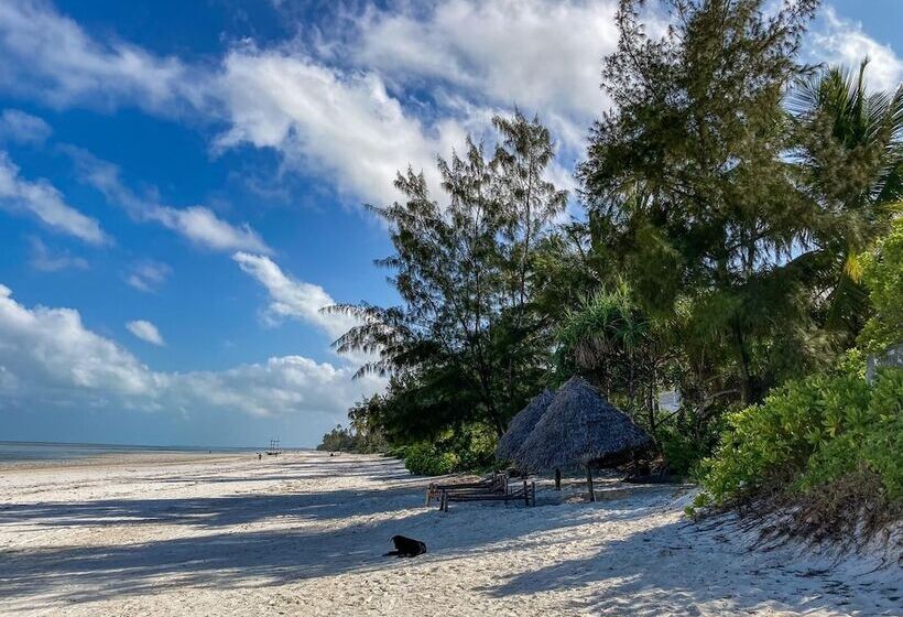 פנסיון Bellevue Zanzibar