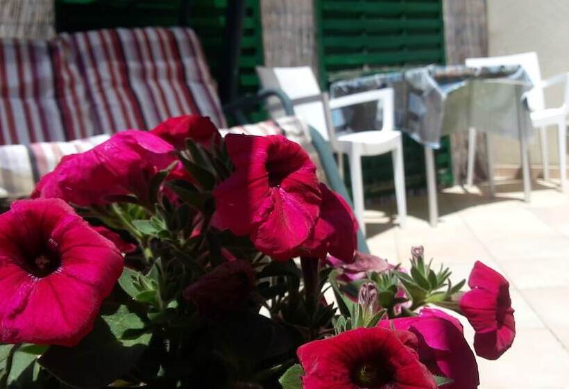 تختخواب و صبحانه Sogni D Oro