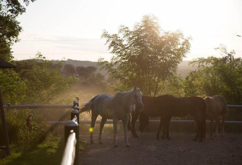 هتل La Pampa Relais & Spa