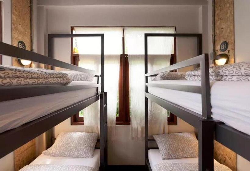 Chiang Mai D Hostel