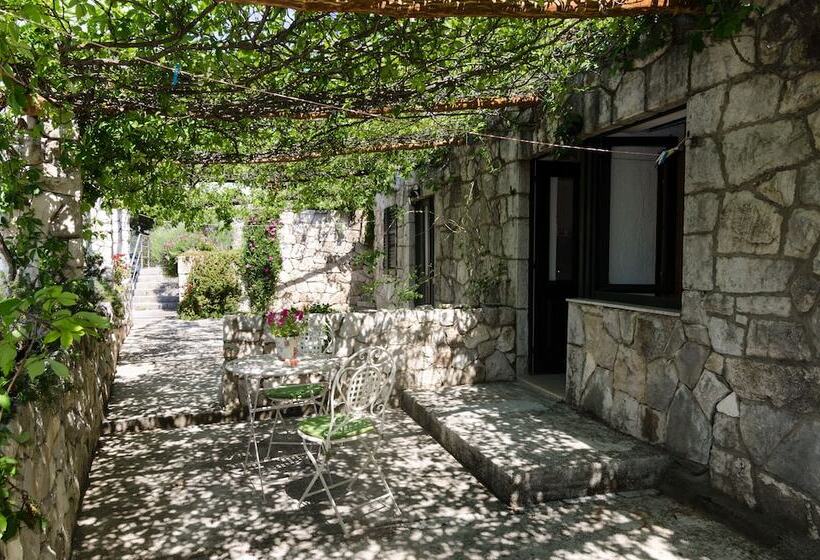 Guest House Busurelo