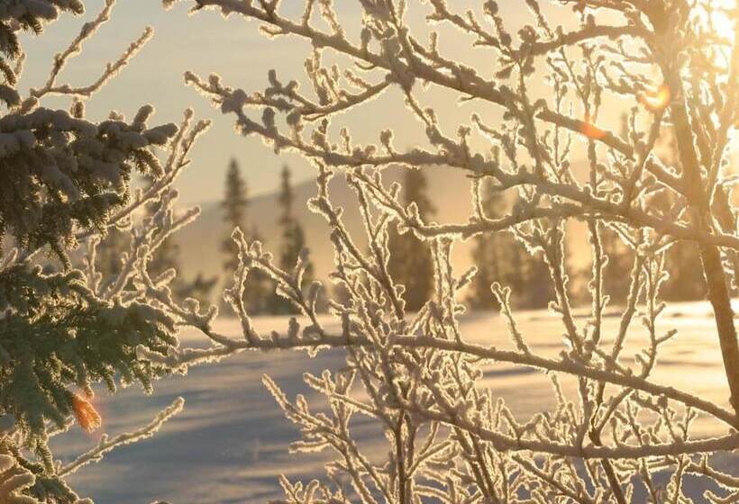 هتل Buustamons Fjällgård