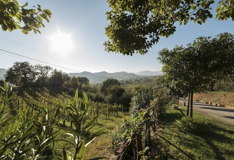 ホテル Tenuta D'amore