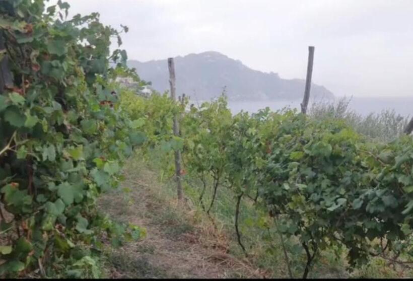 پانسیون Agriturismo Fuoco D Amalfi Villa Iazzetta