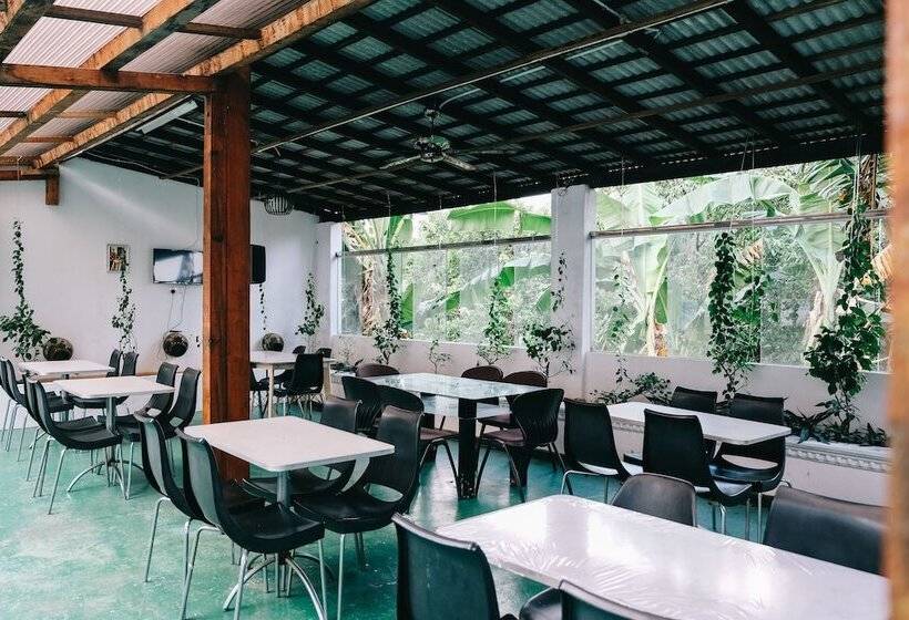 بنسيون Camelia Homestay