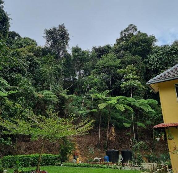 پانسیون Arundina Cameron Highlands