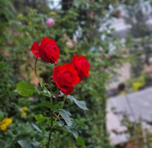 پانسیون Arundina Cameron Highlands