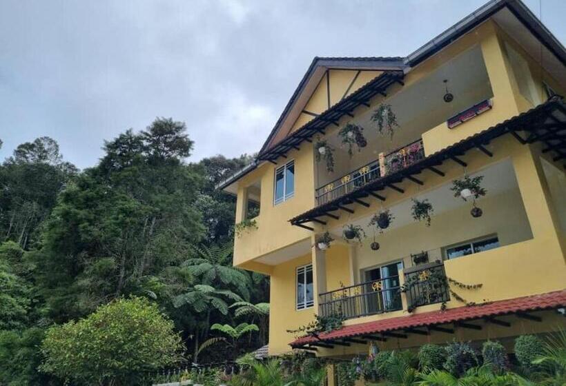 پانسیون Arundina Cameron Highlands