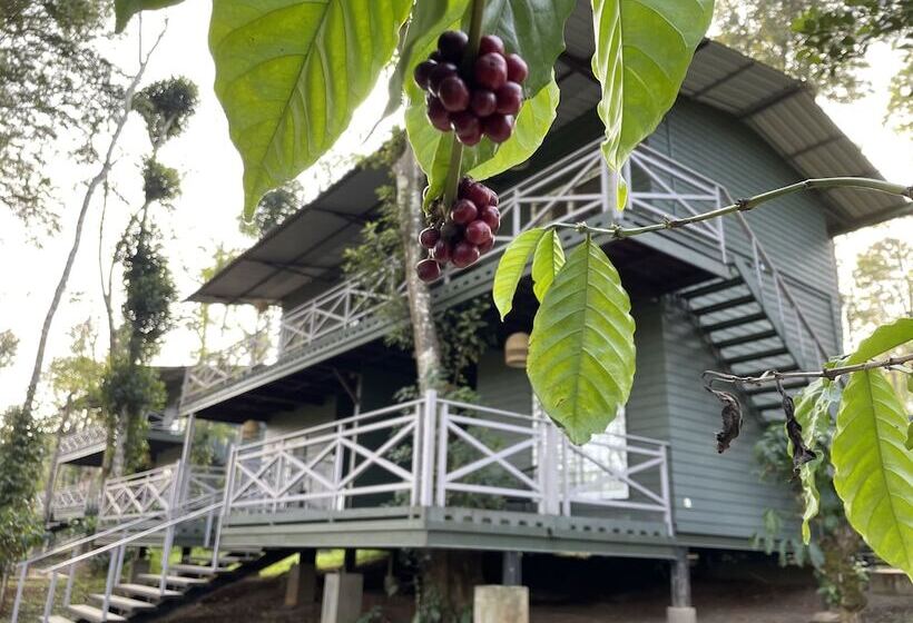 酒店 Machaan Wilderness Lodge Nagarahole