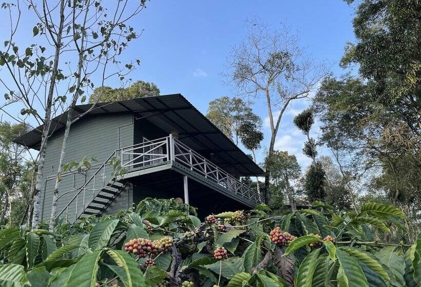 酒店 Machaan Wilderness Lodge Nagarahole