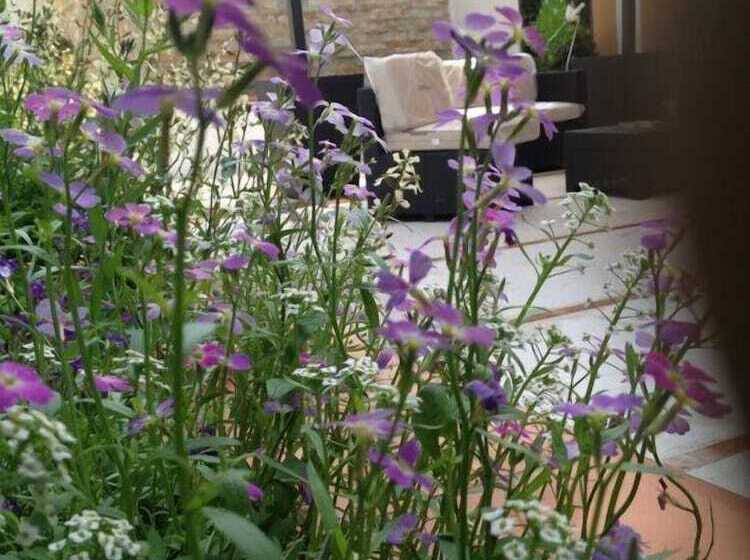 בית מלון כפרי La Rosetta Scauri