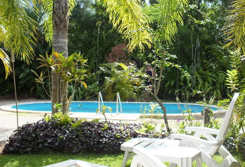 Rarotonga Daydreamer Escape