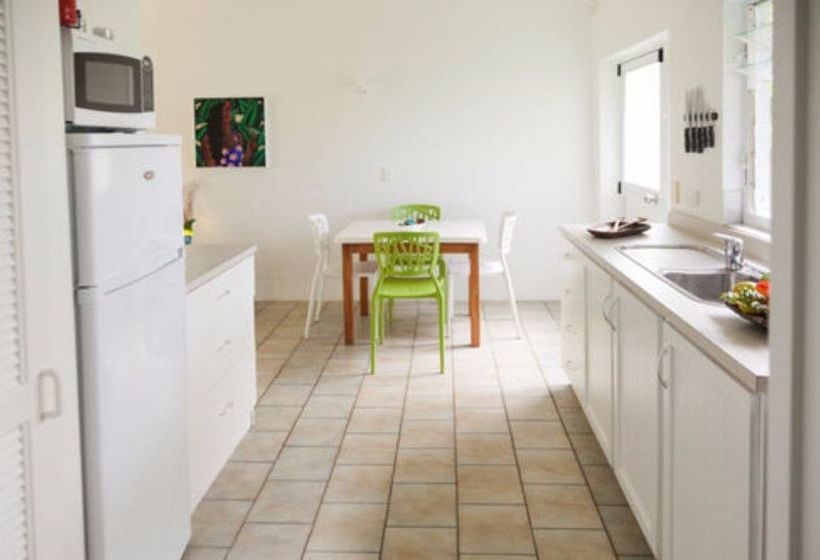 Rarotonga Daydreamer Escape