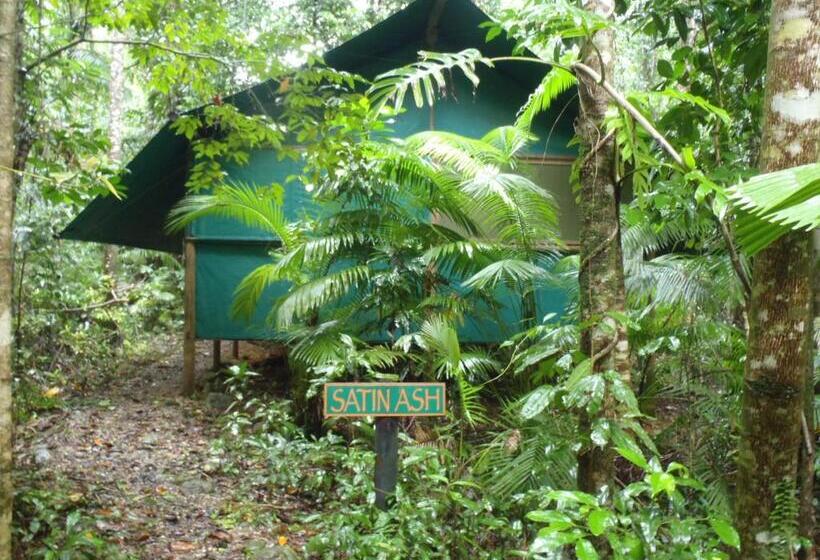 호스텔 Daintree Crocodylus