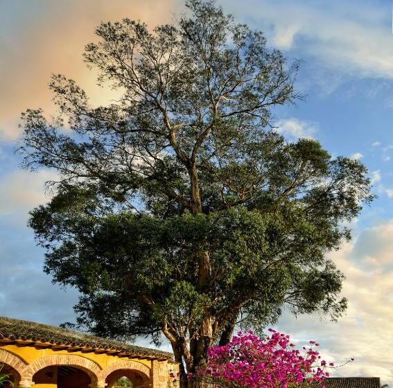 هتل Hacienda El Salitre