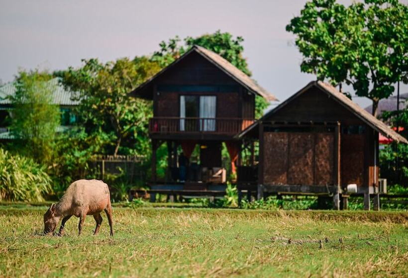 هتل The Gemalai Village