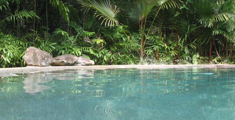 모텔 Daintree Rainforest Retreat
