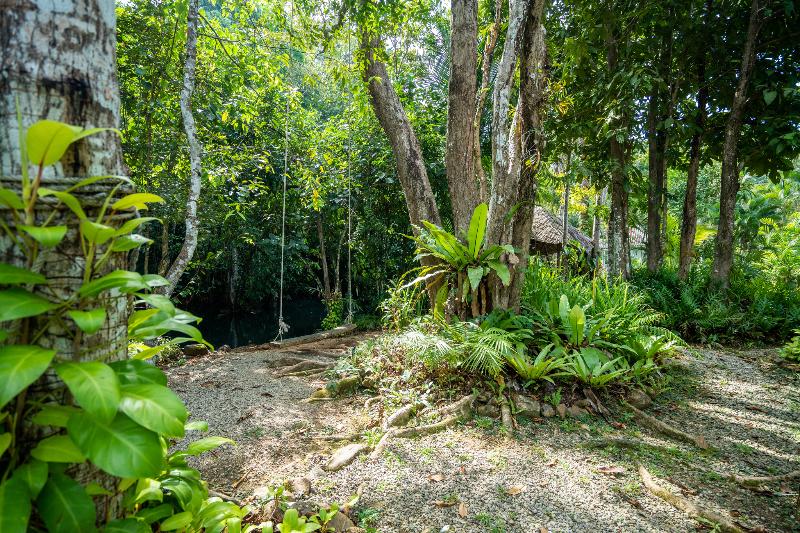Blu Monkey Pooltara Krabi Hotel & Villas Pet Friendly