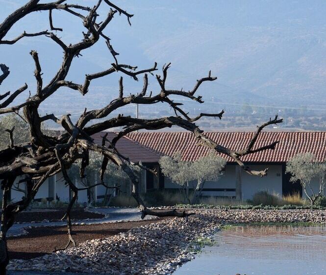 هتل Hacienda Los Picachos Spa & Pádel