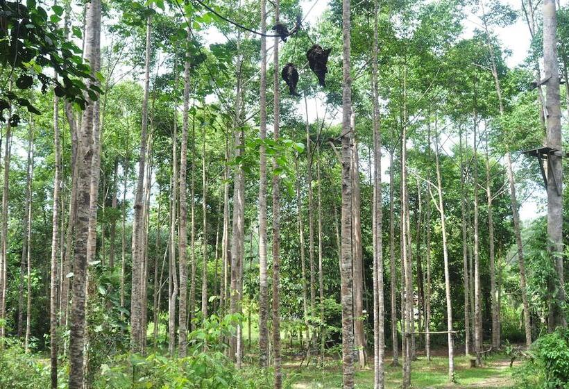 هتل Samboja Lodge