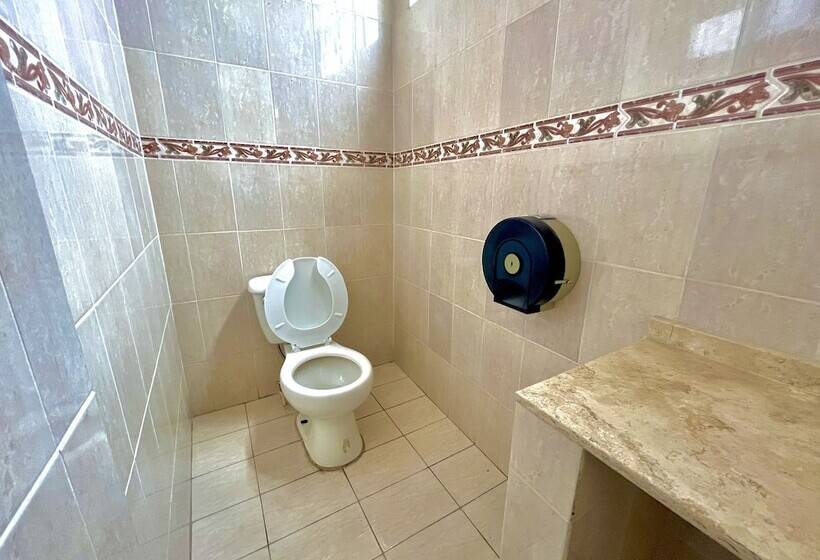 فندق Suites Santa Teresa