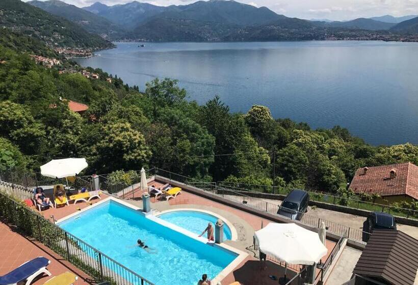 Il Vigneto