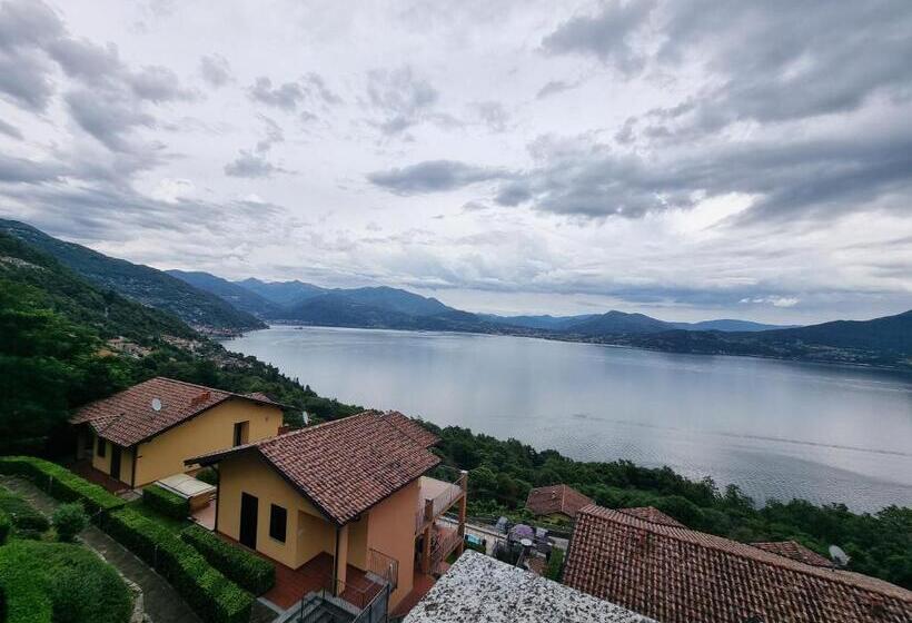 Il Vigneto