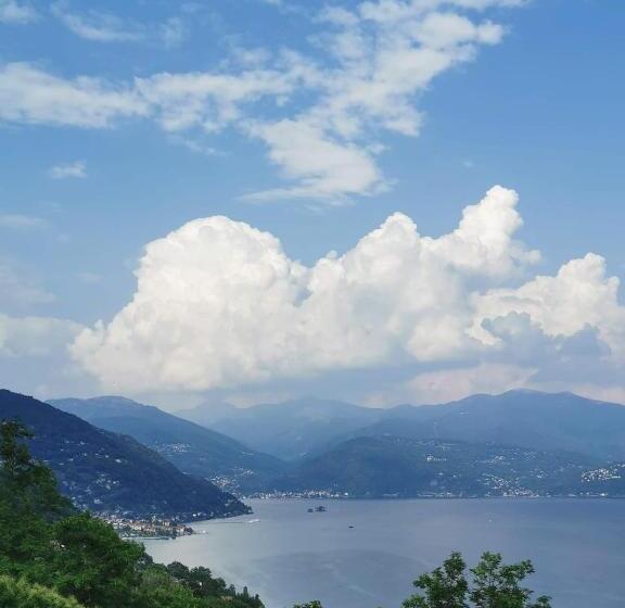 Il Vigneto